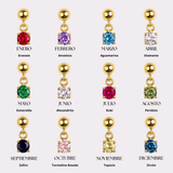 Charm Circonita de Nacimiento Classic Plata 925 Baño de Oro