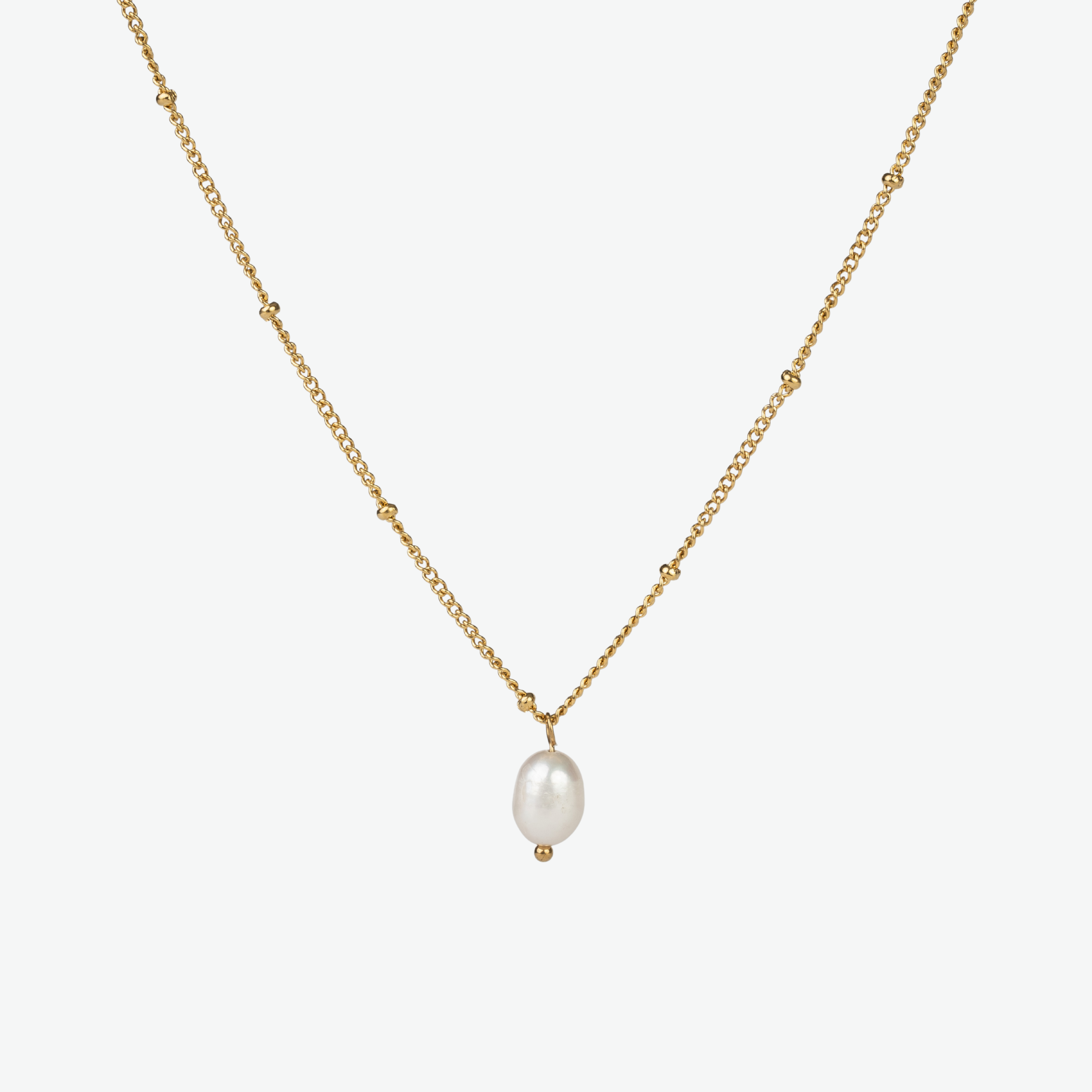 Imagen de diapositiva