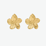 Aros Éclore Waterproof en Oro de 18k