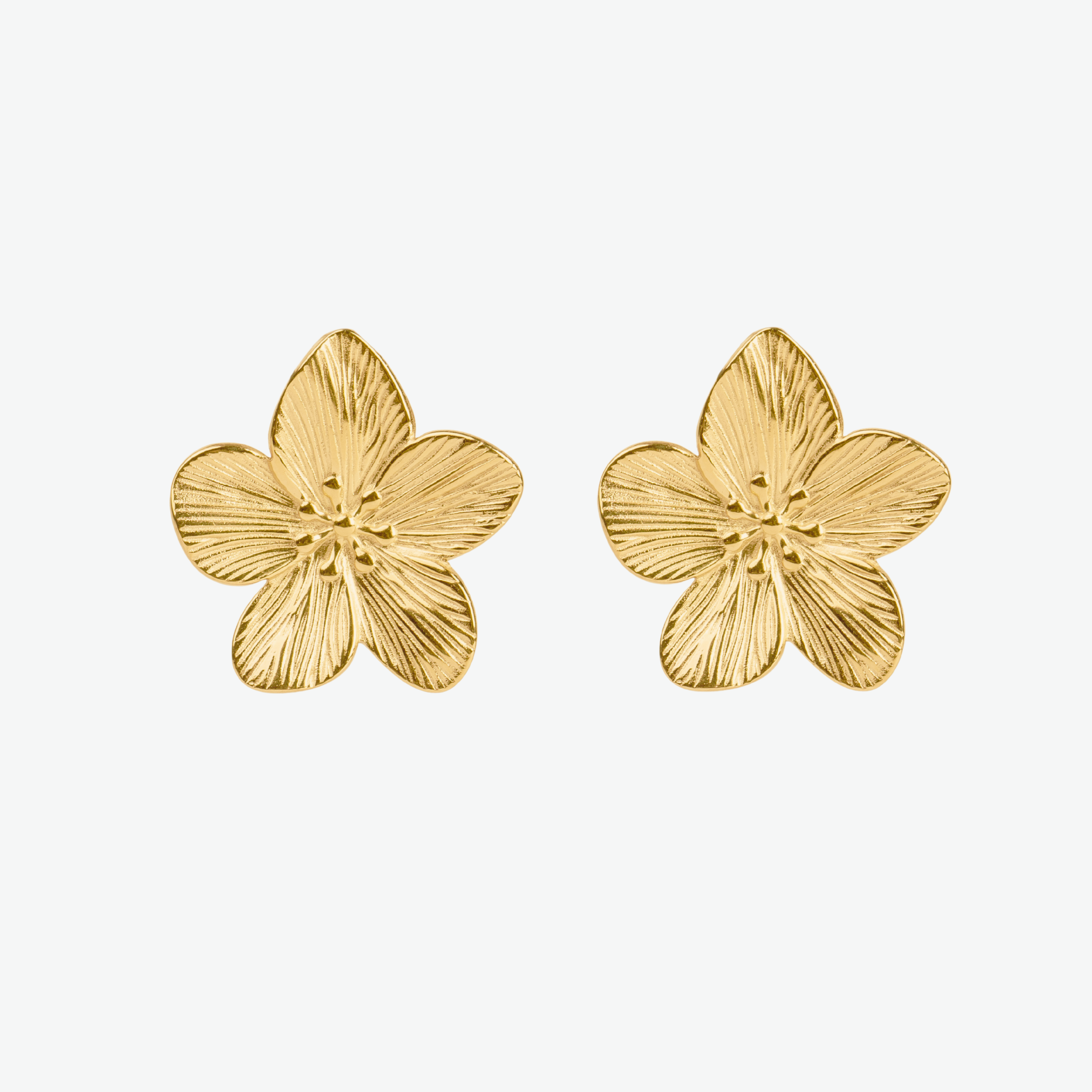 Imagen de diapositiva