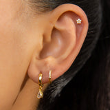 PIERCING STELLAR BAÑO DE ORO