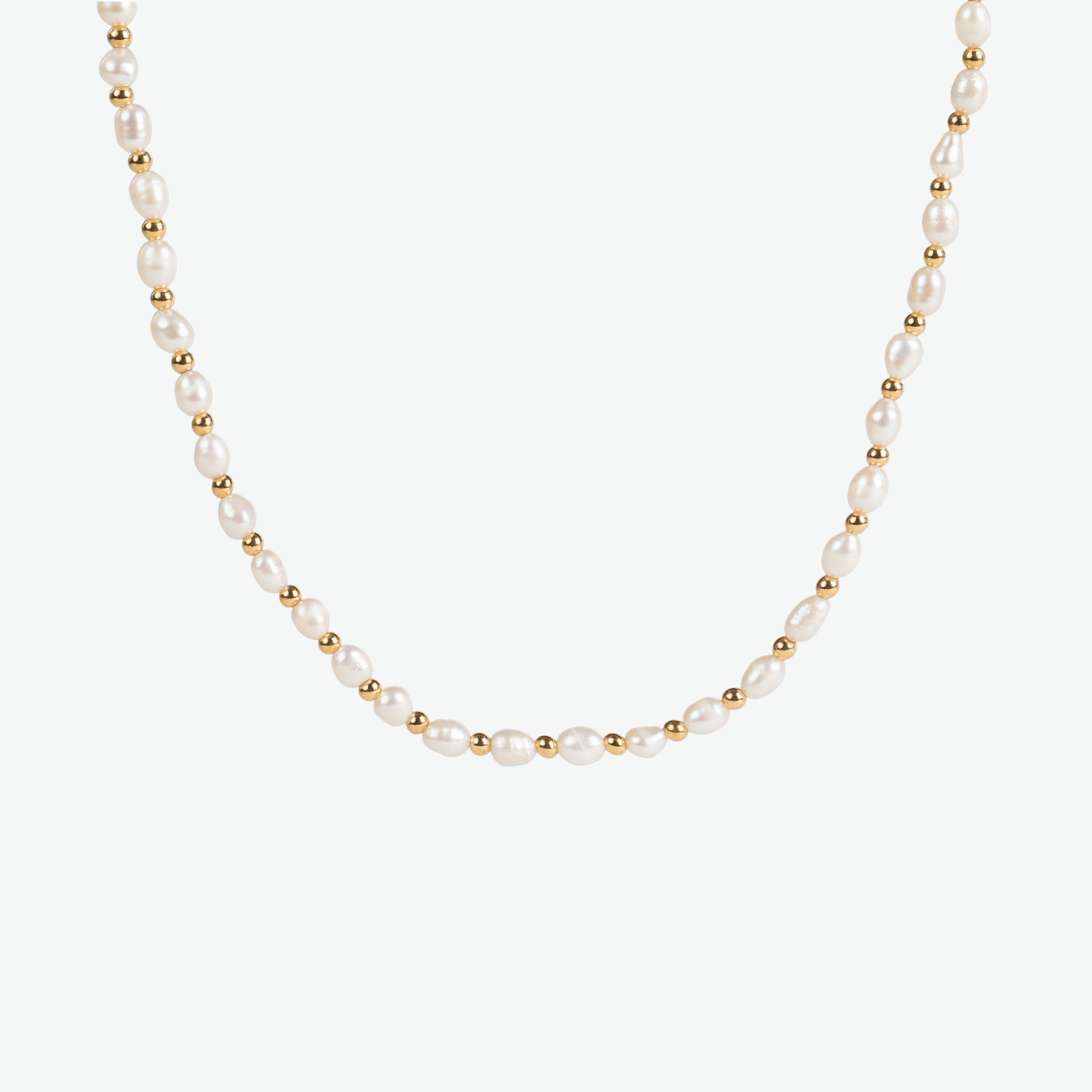 Imagen de diapositiva