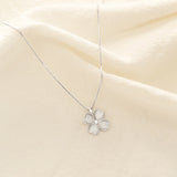 COLLAR ALLIUM PLATA 925